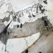 White polished stone surface with gray and tan crystalline structure, featuring dark brown needle-like inclusions and a central brownish-gray band.
