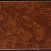 Myrtle burl wood slab, warm brown tone, swirling organic pattern with textured surface and clean cut edges.