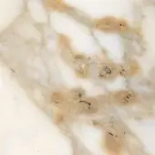 Calacatta gold marble texture with white base, beige veins, and gray inclusions; polished surface displaying organic, undulating patterns.