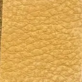 Chamois leather texture in golden yellow with irregular bumps, matte finish, and integrated “nk chamois” text in the upper left corner.