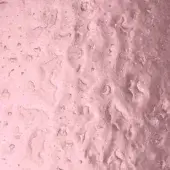Pink textured surface with irregular, wing-like shapes and scattered droplets, exhibiting diffused lighting and subtle tonal variations.