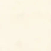 Aged paper texture, creamy beige tone, mottled surface with fine speckling and diffused lighting, creating a warm, granular visual effect.