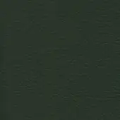 Dark green leather texture sample with pebble grain pattern, matte finish, and consistent color, studio shot against a neutral backdrop.