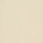 Off-white synthetic leather texture with a fine grain pattern, even lighting, and cleanly trimmed edges; material sample for reference.