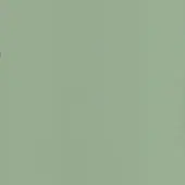 Pale green textured surface with “turri” text, displaying granular pattern and matte finish, likely leather catalog sample.