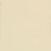 Pale beige leather texture with a fine horizontal grain, matte finish, and subtle brand text imprint; warm neutral tone.