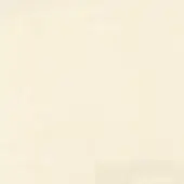 Aged paper texture, creamy ivory tone, subtle grain with faint inscription “turri > leather cat. lm > 1016p c” in the lower right corner.
