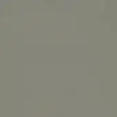 Muted gray wall texture with a fine matte grain, displaying a consistent color tone and subtle imperfections under even, diffuse lighting.