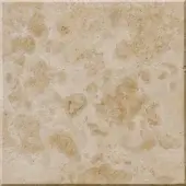 Giallo Istria marble texture sample, beige and tan stone with circular fossil inclusions, polished finish, minimal veining.