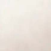 Light beige matte surface with subtle texture, even lighting, and a smooth, neutral composition suitable for backgrounds or product staging.