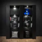 Distinctive WAYNE Enterprises WE-171 bookcase with wood veneer, matte finish and integrated LED spotlights, officially licensed from DC Comics