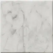 Bianco carrara marble tile displaying grey veining patterns on a white background, polished finish with a slightly raised edge.