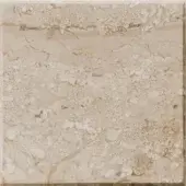 Breccia Sarda marble tile, light beige with fossilized shells, polished surface, horizontal banding, and natural stone inclusions.