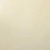 Pale off-white matte surface with subtle tonal variations, resembling a smooth wall or paper, displaying a neutral, consistent composition.