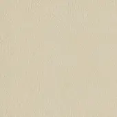 Beige seamless texture with granular pattern, resembling matte leather, warm neutral tones, consistent surface, and subtle color variations; "kobe col.5009".