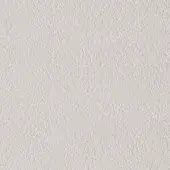 Light gray granular texture with a matte finish, displaying a random pattern of small bumps and indentations across the surface.