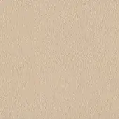 Beige woven texture with granular appearance, consistent matte finish, and fine irregularities across a neutral sandy tone surface.