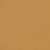 Light brown leather texture sample with granular surface, matte finish, consistent warm tone, ideal for upholstery applications.