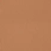 Earthy brown textured surface, granular material with rough finish, consistent tone, neutral organic backdrop, diffused studio lighting.