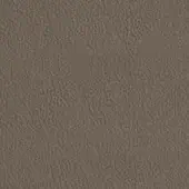 Brown textured surface with granular pattern, irregular lines, and subtle shade variations, resembling distressed leather or fabric.