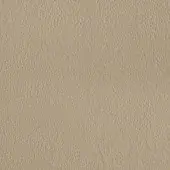 Beige textured surface with granular stucco finish, displaying subtle shading and a matte, uneven composition under diffuse lighting.