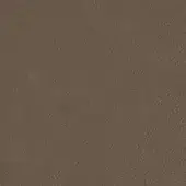 Warm brown textured surface with fine, irregular grain and matte finish, displaying consistent tonal variations and minimal sheen.