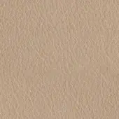 Beige leather texture with irregular grain, featuring a dense network of fine lines and subtle elevation changes, presented in a matte finish.