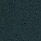 Dark teal textured surface with a dense, irregular pattern and matte finish, exhibiting a consistent, granular quality throughout the composition.