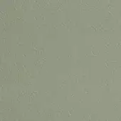 Grayish-green textured surface with granular, uneven composition and diffused lighting, resembling stucco or heavily textured paint.