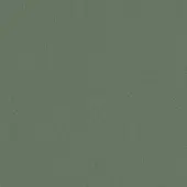 Muted green textured surface displays a fine, irregular grain pattern with a consistent matte finish, creating a uniform background sample.