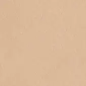 Beige woven texture with a mottled surface, featuring a fine, irregular pattern of darker flecks and a consistent matte finish.