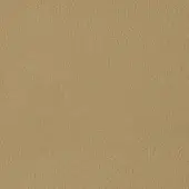 Textured plaster surface, warm tan color, random uneven pattern with matte finish; color code “kobe > col.6231” in lower right.
