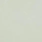 Light green marble sample displaying a mottled pattern with white veins against a white background, polished surface.