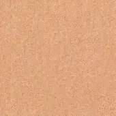 Moroso Zanzibar textile, peach fabric texture with dense granular pattern, matte finish, consistent warm tone, organic appearance.