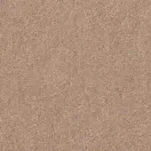 Beige granular texture, composed of fine particles, displaying subtle color variations and a matte, uniform surface with no repeating patterns.