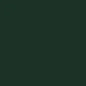 Moroso Glass color swatch, forest green RAL 6009, matte finish, uniform tone, solid color background, no texture visible.