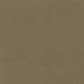 Moroso leather texture sample in mastic, displaying a fine pebbled grain and matte finish with subtle color variations and code b0036.