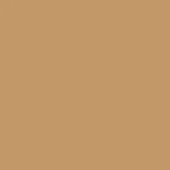 Warm brown color field, matte finish, uniform tone resembling tanned leather, smooth composition, plain background, studio shot.