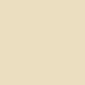 Pale beige matte surface with subtle tonal variations, seamless background, and diffused lighting creating a uniform, neutral composition.