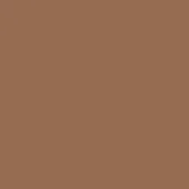Caramel color swatch displaying NCS S 5020 Y40R, matte painted metal finish, Moroso product line sample with text identification.