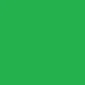 Hexachrome green color field, uniform solid tone, even lighting, flat composition, neutral backdrop, consistent hue, simple visual structure.