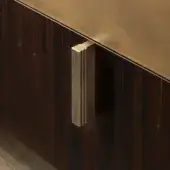 Dark wood cabinet door with brass handle, vertical grain, rectangular ribbed texture, flush mount, golden-bronze metallic top edge.