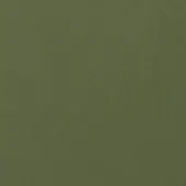 Muted olive green lacquered surface with a matte finish and subtle texture, presenting a minimalist, uniform color field identified as “lb oliva”.