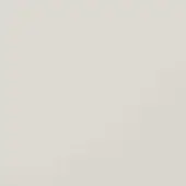 Neutral gray texture, matte finish, subtle linen-like pattern, soft pearl tone, diffused lighting, minimalist backdrop, fine irregular surface.