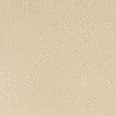 Light beige leather texture with a fine diagonal grain, matte finish, and subtle tonal variations creating depth; bellavista leather sample.