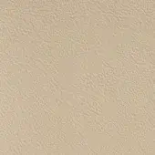 Light beige leather texture with a fine granular pattern, matte finish, and consistent warm neutral tone evoking durability.