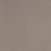 Leather texture sample, light taupe color, consistent mottled surface with fine granular pattern and subtle tonal variations, catalog identification text.