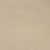 Beige nubuck leather texture sample, granular finish, warm neutral tone, subtle tonal variations, diffused lighting, light background.