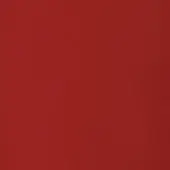Saddle leather upholstery, red bellavista leather, matte finish with uniform grain texture against a neutral background.