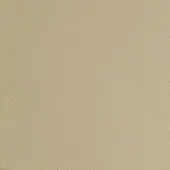 Saddle leather texture, sand color, fine grain pattern, muted beige tones, matte finish, durable quality, full-grain appearance.